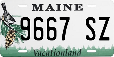 ME license plate 9667SZ