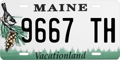 ME license plate 9667TH