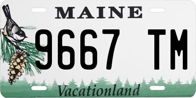 ME license plate 9667TM