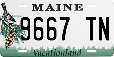 ME license plate 9667TN