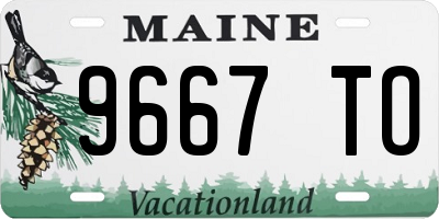 ME license plate 9667TO
