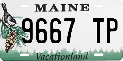 ME license plate 9667TP