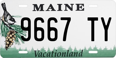 ME license plate 9667TY