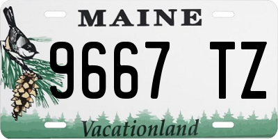 ME license plate 9667TZ