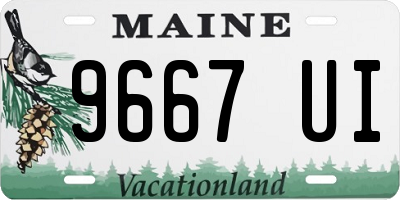 ME license plate 9667UI