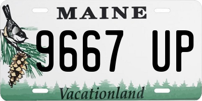 ME license plate 9667UP