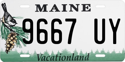 ME license plate 9667UY