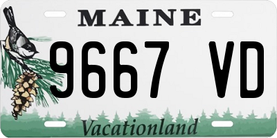 ME license plate 9667VD