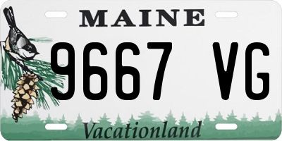 ME license plate 9667VG