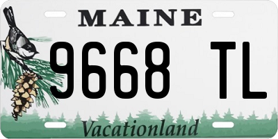 ME license plate 9668TL