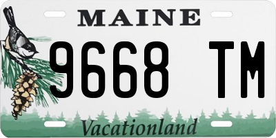 ME license plate 9668TM