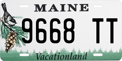ME license plate 9668TT
