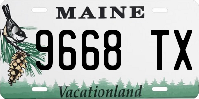 ME license plate 9668TX