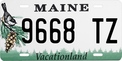 ME license plate 9668TZ