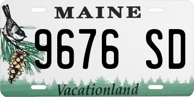 ME license plate 9676SD