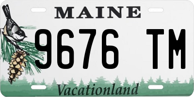 ME license plate 9676TM