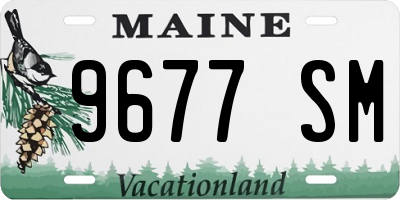 ME license plate 9677SM