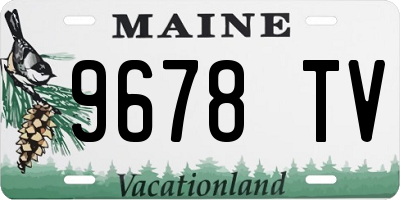 ME license plate 9678TV