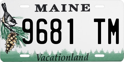 ME license plate 9681TM
