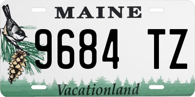 ME license plate 9684TZ