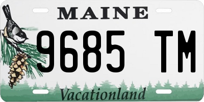 ME license plate 9685TM