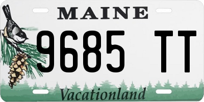 ME license plate 9685TT