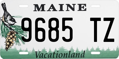 ME license plate 9685TZ