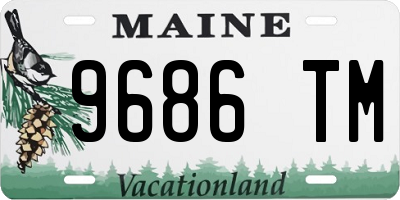 ME license plate 9686TM
