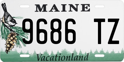 ME license plate 9686TZ