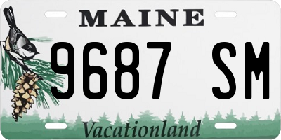 ME license plate 9687SM