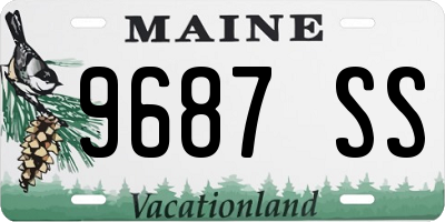 ME license plate 9687SS