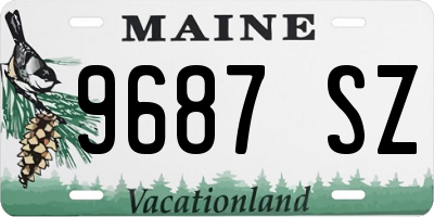 ME license plate 9687SZ