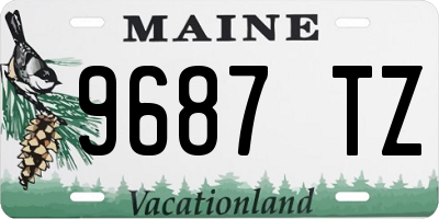 ME license plate 9687TZ