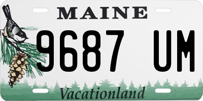 ME license plate 9687UM