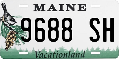 ME license plate 9688SH
