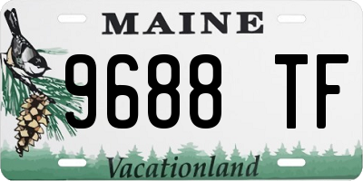 ME license plate 9688TF