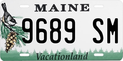 ME license plate 9689SM