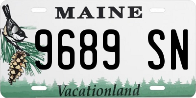 ME license plate 9689SN