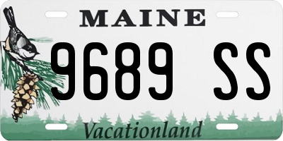 ME license plate 9689SS