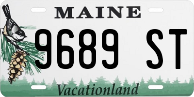 ME license plate 9689ST