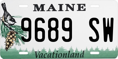 ME license plate 9689SW