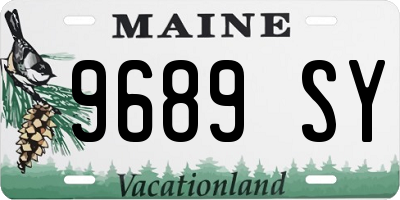 ME license plate 9689SY