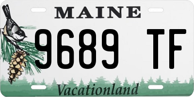 ME license plate 9689TF