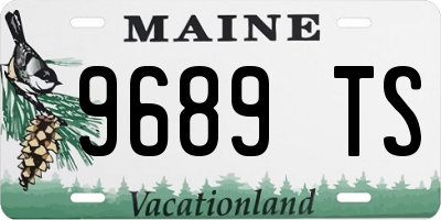 ME license plate 9689TS