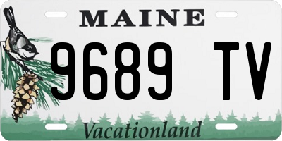 ME license plate 9689TV