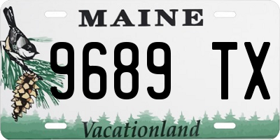 ME license plate 9689TX
