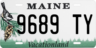 ME license plate 9689TY