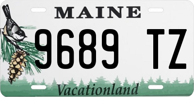 ME license plate 9689TZ