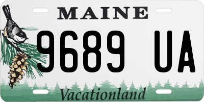 ME license plate 9689UA