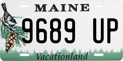 ME license plate 9689UP